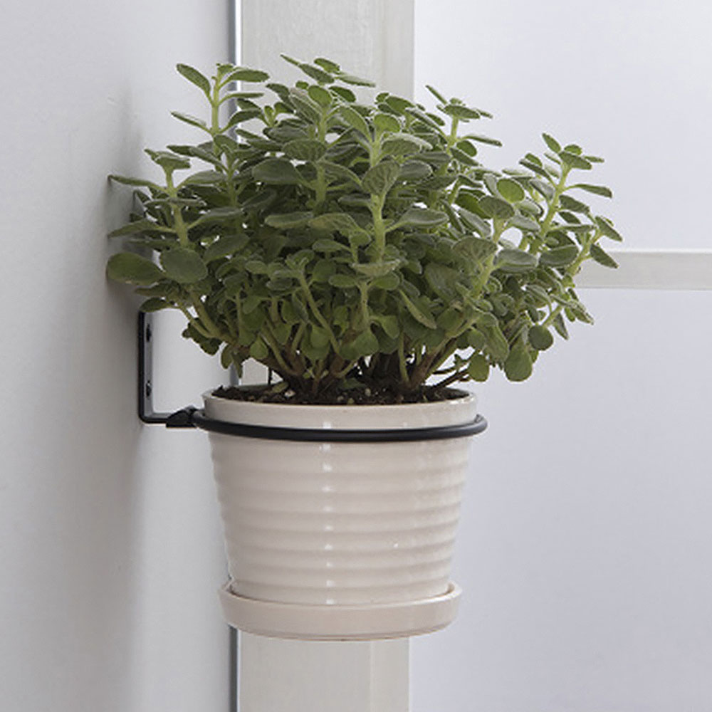 Flower Pot Trays Wall Mounted  - Flower Wall Panel review and price